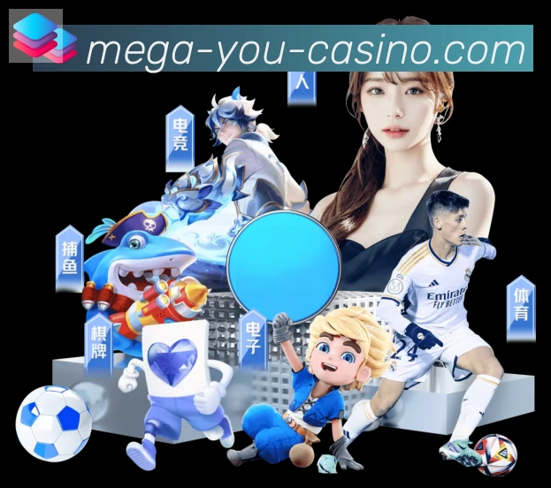 未来规划